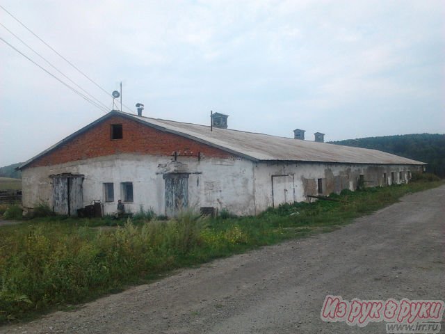 Помещение  12000 кв. м в городе Новокузнецк, фото 1, Прочее