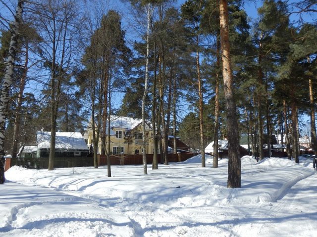 Участок в Видном около парка,  4 км от МКАД.  Сосны в городе Видное, фото 10, стоимость: 14 000 000 руб.