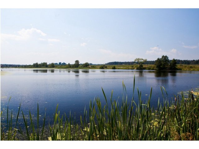 Недорого  зем.   уч-ок  8.7 сот.,  в Одинцовском р-н в городе Одинцово, фото 7, стоимость: 1 566 000 руб.