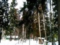 Участок 10 сот.,  Ярославское ш.,  16 км,  г.  Пушкино в городе Химки, фото 3, Земельные участки