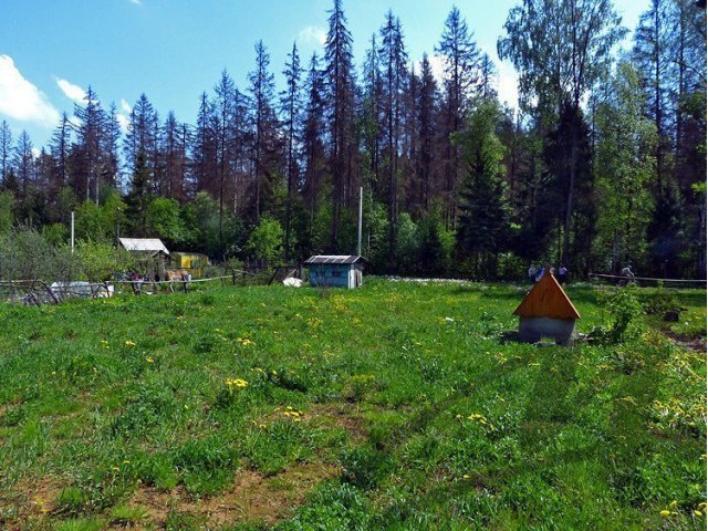 Краснознаменск,  продам,  земельный участок,  Краснознаменск,  Минское ш.,  20км от МКАД,  Площадь участка 7.42 сот.  МИЭЛЬ в городе Краснознаменск, фото 2, стоимость: 1 800 000 руб.