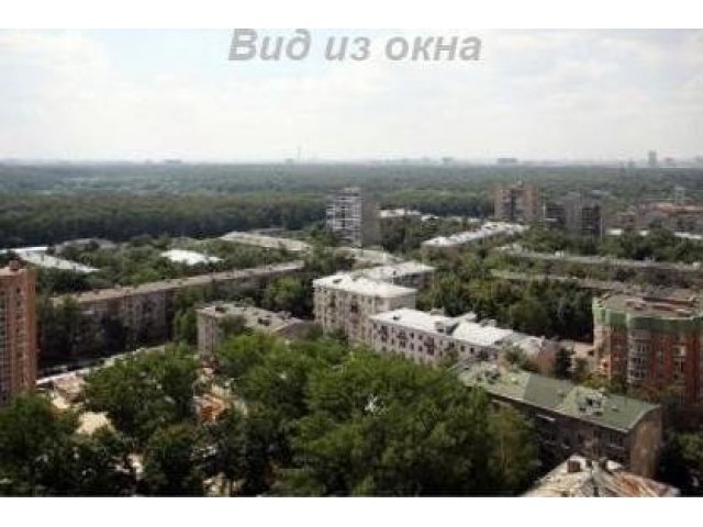 Москва,  продам,  4-комн.  кв-ру,  Город Москва,  Первомайская Улица,  д.  42,  7 мин. п.  от метро Первомайская МИЭЛЬ в городе Москва, фото 3, стоимость: 35 200 000 руб.