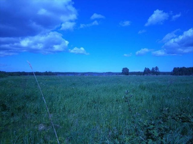 Участок 20.00 соток,  Приозерский р-н,  Приозерск в городе Приозерск, фото 3, Ленинградская область