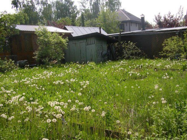 Продам:  дачу по адресу Московская обл,  Электроугли,   садовое товарищество,  Носовихинское ш.,  25 км от мкад,  участок 6 соток,  электричество.. . в городе Электроугли, фото 4, Дачи