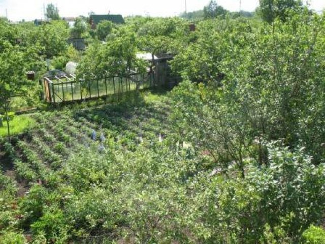 Дача в Гатчине в городе Гатчина, фото 2, Ленинградская область