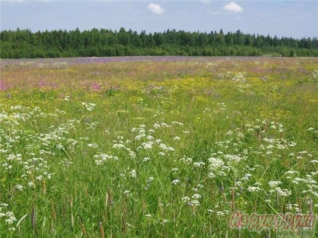 Участок 25 соток,  Калязинский р-н,  Калязин ,  собственность в городе Калязин, фото 2, Земельные участки