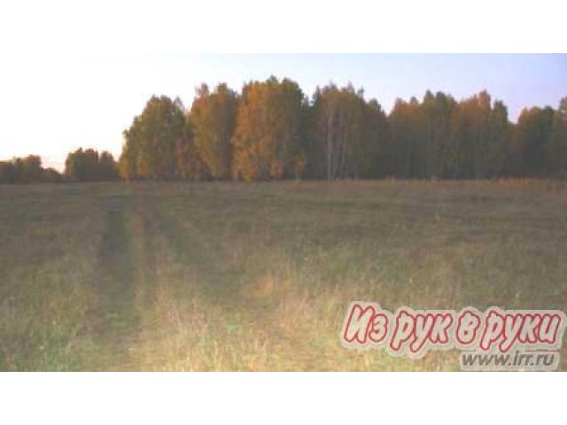 Объект,   Бейвеля ул в городе Челябинск, фото 4, стоимость: 4 900 руб.