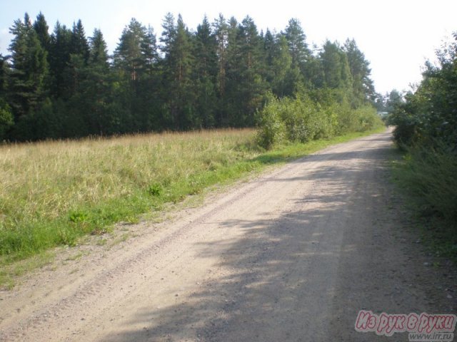 Участок 260 соток,  Приозерский р-н,  Приозерск ,  собственность,  земли С/Х назначения в городе Приозерск, фото 9, Ленинградская область