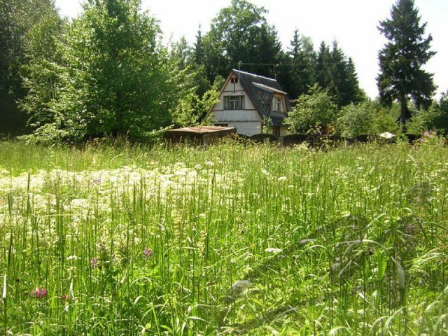 Лобня,  продам,  земельный участок,  Краснополянское лесничество,  СВХ Останкино,  Рогачевское ш.,  24км от МКАД,  Площадь участка 6.57 сот.  МИЭЛЬ в городе Лобня, фото 4, стоимость: 2 000 000 руб.