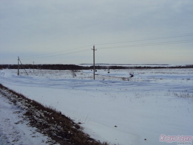 Участок 900 соток,  Шацкий р-н,  Шацк ,  собственность,  земли С/Х назначения в городе Шацк, фото 3, Земельные участки