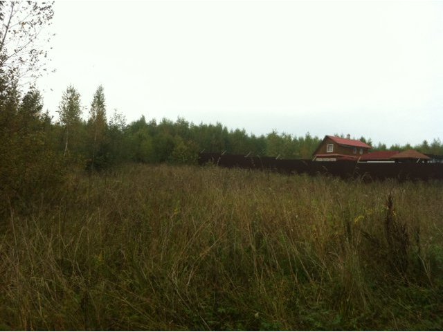 Большой земельный участок рядом с озером. в городе Луга, фото 2, стоимость: 800 000 руб.