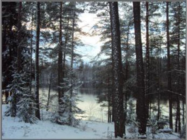 Продаю дом,  Выборгский р-н,  Вещево в городе Выборг, фото 4, Дачи