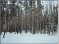 Продаю дом,  Выборгский р-н,  Вещево в городе Выборг, фото 1, Ленинградская область