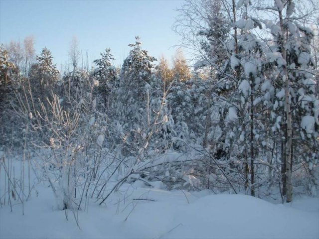 Участок 10.00 соток,  Приозерский р-н,  Приозерск в городе Приозерск, фото 1, стоимость: 680 000 руб.