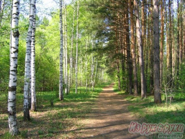 Участок 12 соток,  Сосновый Бор ,  собственность в городе Сосновый Бор, фото 3, Ленинградская область