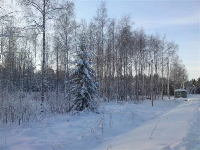 Участок 9.56 соток,  Приозерский р-н,  Приозерск в городе Приозерск, фото 1, стоимость: 1 450 000 руб.