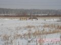 Участок 760 соток,  Камышлов ,  собственность,  земли С/Х назначения в городе Камышлов, фото 5, стоимость: 15 000 000 руб.