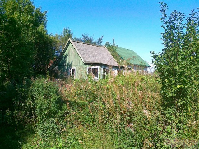 Участок 6 соток,  Светлогорский р-н,  Светлогорск (Светлогорск ? : ) в городе Светлогорск, фото 1, Земельные участки