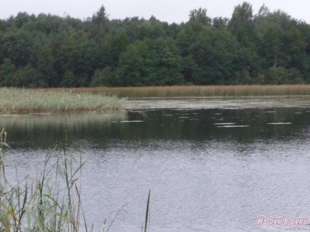 Участок 1300 соток,  Пустошкинский р-н,  Пустошка ,  собственность в городе Пустошка, фото 1, Земельные участки