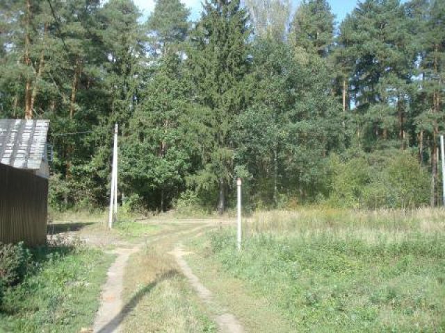 1 км от г.  Чехов,  д.  Манушкино 6 сот ПМЖ ел-во оплачено в городе Чехов, фото 3, стоимость: 750 000 руб.