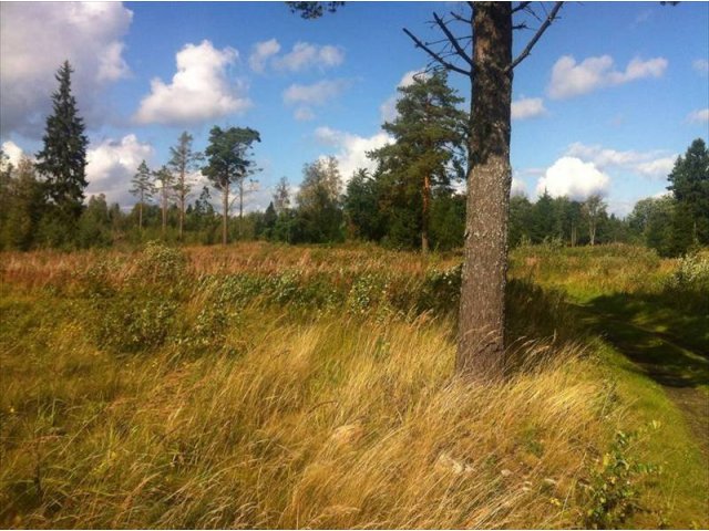 Участок 406.00 соток,  Приозерский р-н,  Приозерск в городе Приозерск, фото 4, Земельные участки