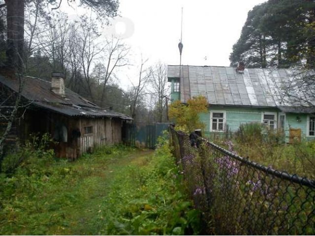 Продам дом бревенчатый у реки Обла с садом и баней в городе Луга, фото 1, стоимость: 2 000 000 руб.