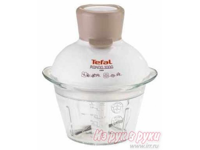 Измельчитель Tefal MB5031 в городе Тюмень, фото 1, стоимость: 2 030 руб.