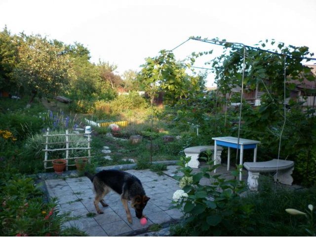 Продаётся половина дома в центре города в городе Борисоглебск, фото 1, стоимость: 2 400 000 руб.