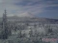 Туристический бизнес в городе Москва, фото 1, Московская область