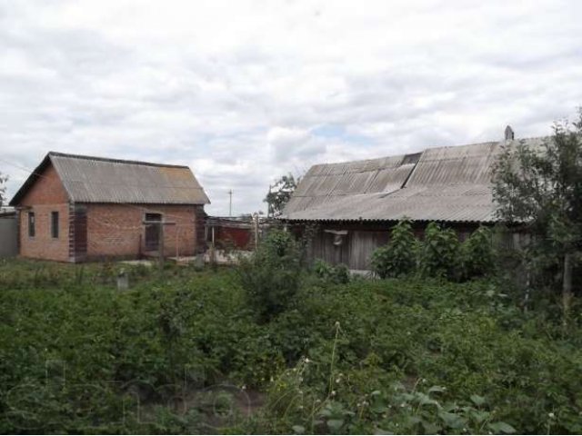 Продается коттедж в 2х уровнях (+бар) с.Репное в городе Балашов, фото 6, стоимость: 3 800 000 руб.