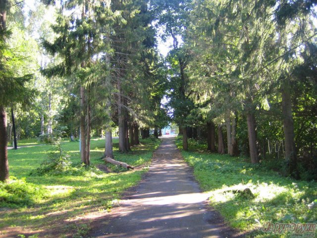 ДСОЛ Салют в городе Санкт-Петербург, фото 1, стоимость: 21 500 руб.