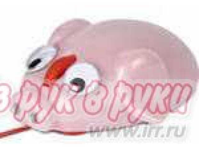 Манипулятор Speed-Link SL-6135-PIG USB  FUNNY FARM pig в городе Екатеринбург, фото 1, стоимость: 420 руб.