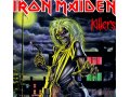 Iron Maiden виниловые диски в городе Москва, фото 1, Московская область