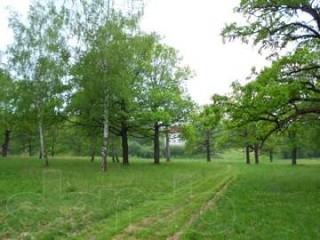 Дом в дубовом парке в городе Малоярославец, фото 7, Продажа домов в городе