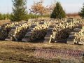 Дрова,  березовые дрова,  колотые дрова с доставкой. в городе Москва, фото 1, Московская область