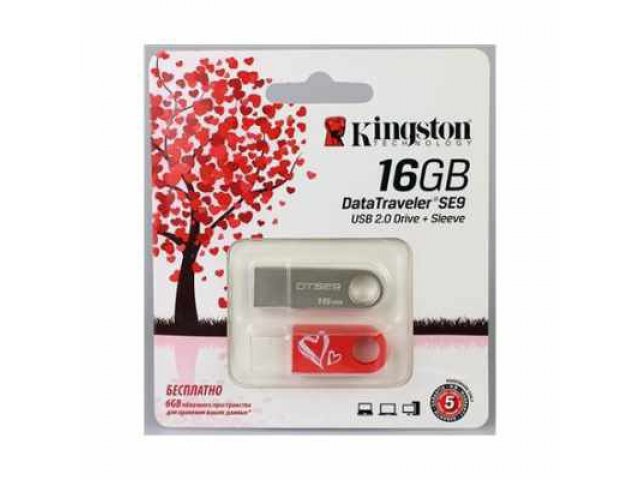 Флеш-карта Kingston DTSE9 Love Series 16 Gb в городе Челябинск, фото 1, стоимость: 590 руб.