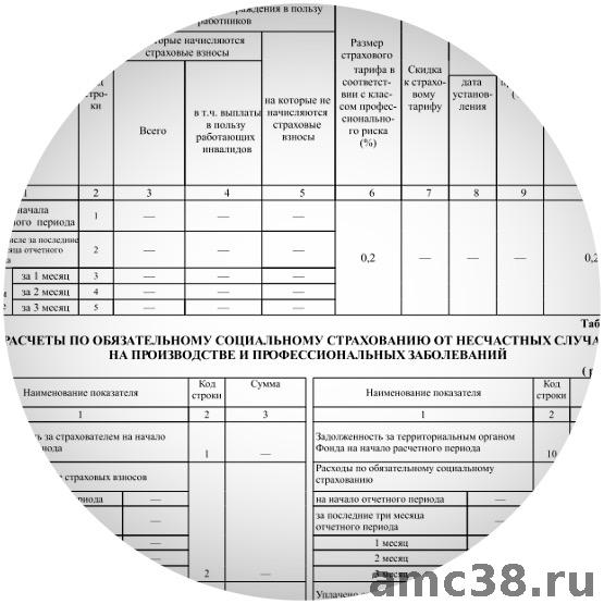 Сдача нулевой отчетности в городе Иркутск, фото 1, Иркутская область