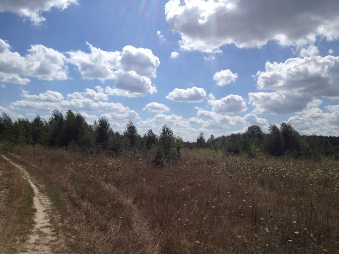 Аренда земли сельхоз назначения в Омской области  в городе Любинский, фото 2, Омская область