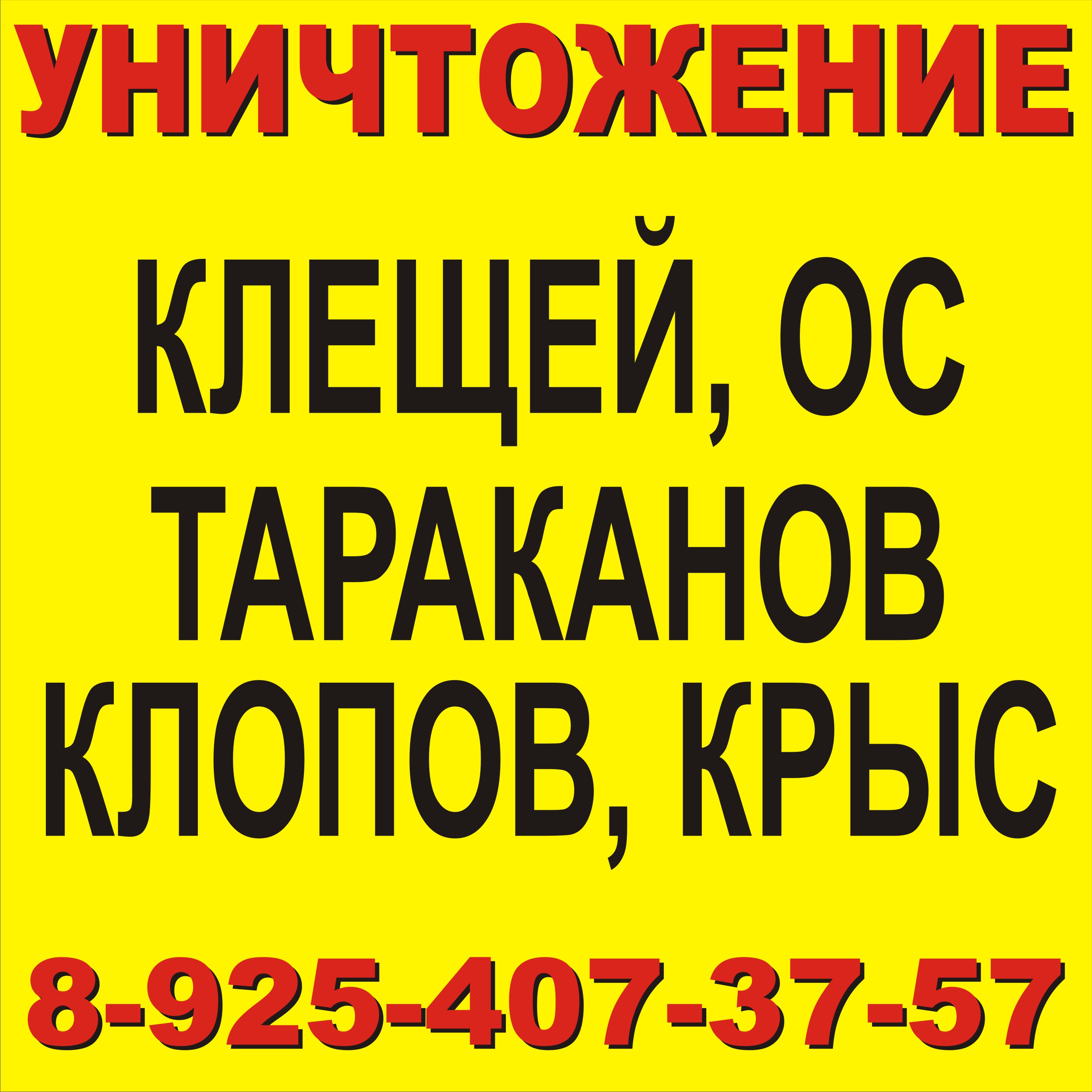 Травим противных клопов в Ногинске за 15 мин.8(925)407-37-57 в городе Ногинск, фото 1, телефон продавца: +7 (925) 407-37-57