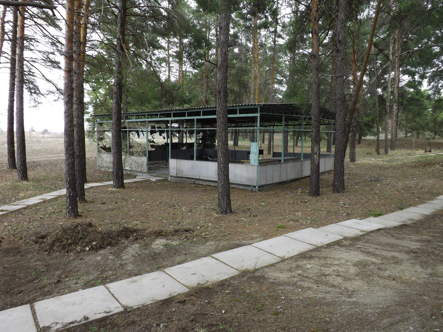 База отдыха Сосновый бор в городе Иловля, фото 2, стоимость: 0 руб.