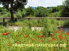 Сдаю 2-комнатную квартиру в Пятигорске посуточно в городе Пятигорск, фото 1, Квартиры посуточно