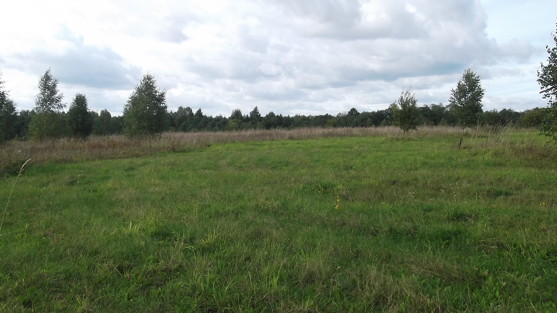 Земля с/х в Конаково в городе Конаково, фото 2, Тверская область