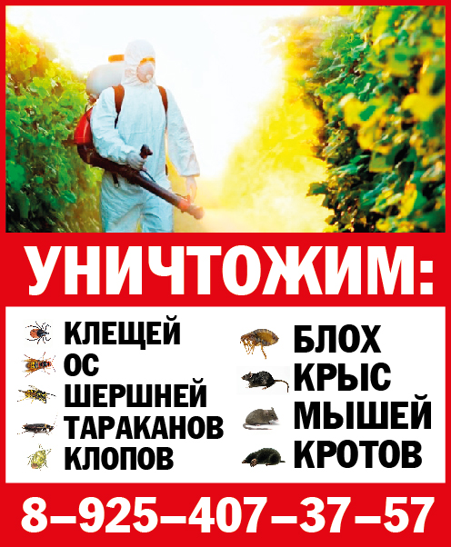 Дезинфекция квартир,уничтожение клопов,тараканов,ос в городе Электроугли в городе Электроугли, фото 1, телефон продавца: +7 (925) 407-37-57