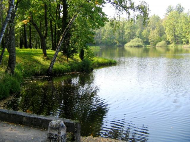 База отдыха в городе Алексин, фото 2, Продажа баз отдыха