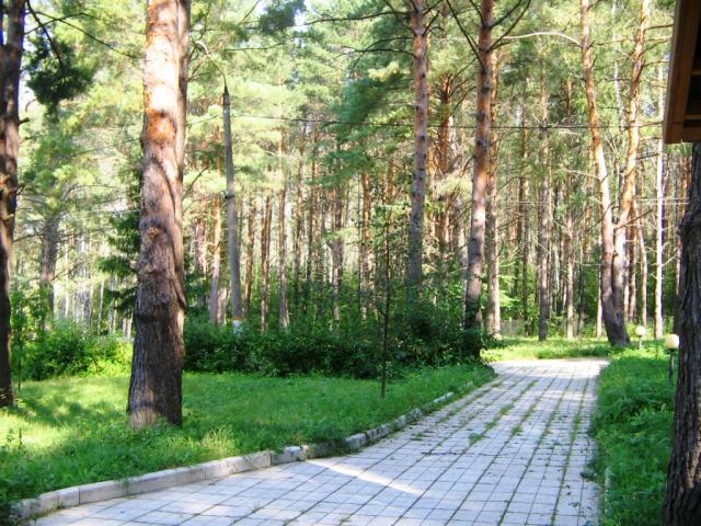 База отдыха в городе Алексин, фото 3, Тульская область