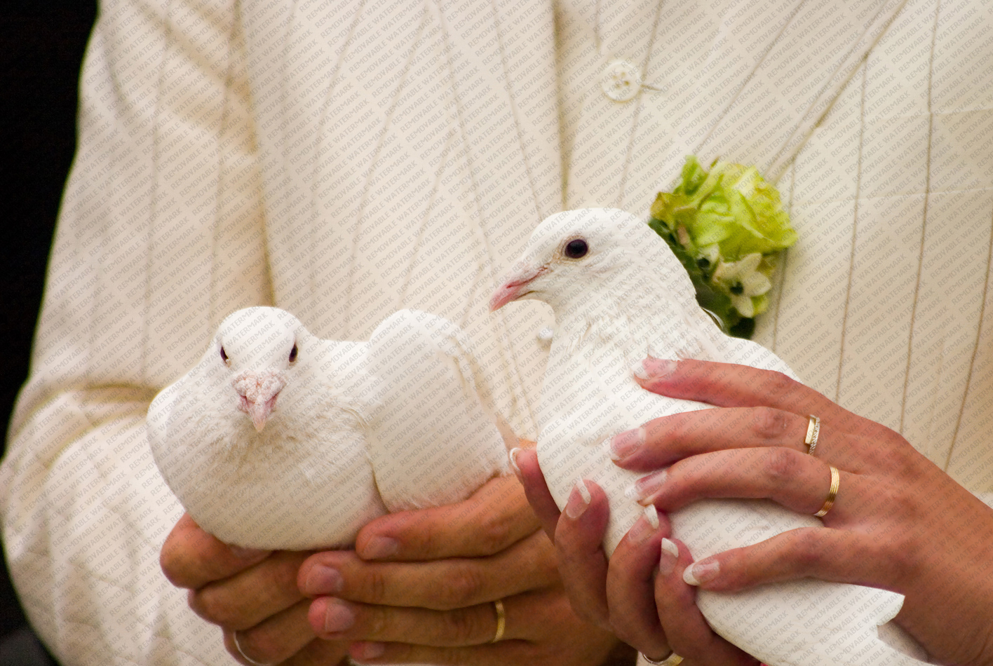 Белые голуби и сердце фото