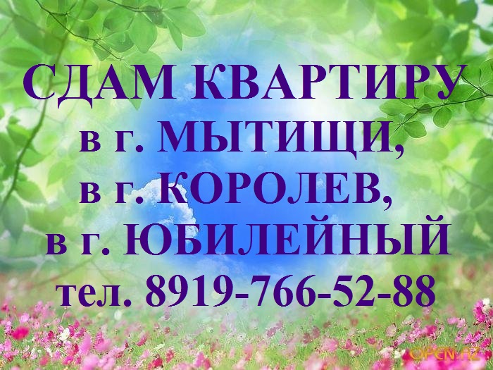 Сдам 1 ком. кВ. в г. Королев по  ул. 50-летия ВЛКСМ д. 13.  в городе Королёв, фото 1, телефон продавца: +7 (919) 766-52-88