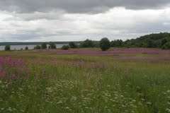 Участок 16,56 ГА в Кондопожском районе д. Поднаволок в городе Кондопога, фото 2, Другое