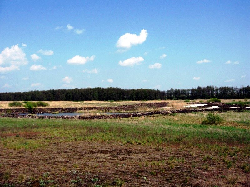 Продаю земельный участок 43.6 Га вдоль реки Усманки в Воронеже в городе Воронеж, фото 2, Другое