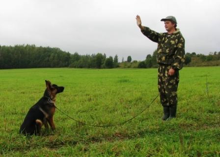 Гостиница для собак, передержка собак в Калужской области в городе Балабаново, фото 2, Дрессировка